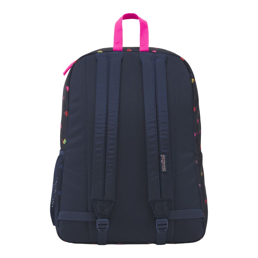 jansport digibreak backpack