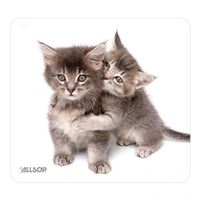 Allsop Mouse Pad Kittens