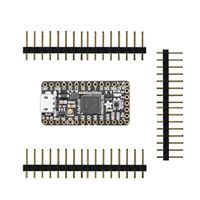 Adafruit Industries ItsyBitsy M0 Express