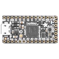 Adafruit Industries ItsyBitsy M4 Express featuring ATSAMD51