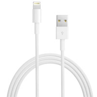 Apple 1.64 ft. Lightning to USB Cable