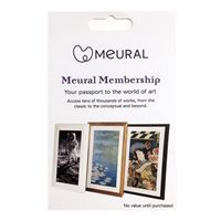 NETGEAR Meural Annual Membership Card