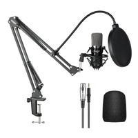 Neewer NW-700 Microphone Kit - Professional Studio Broadcasting Recording Condenser Microphone