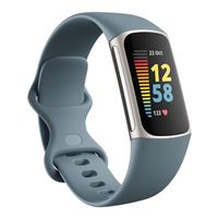FitBit Charge 5 Tracker - Platinum/Mineral Blue