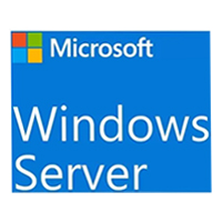 Microsoft Windows Server Standard 2022 Standard Operating System 64 bit English (OEM)