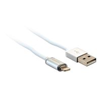 Visiontek Lightning to USB Smart LED 4 Ft (1.2m) MFI Cable