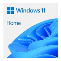 Microsoft Windows 11 Home 64-bit DSP OEM DVD