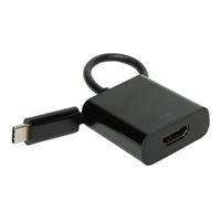 Inland Type-C Male to HDMI 2.1 Female Adapter