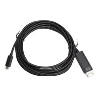 Inland USB-C to DisplayPort Cable -10ft
