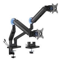 Inland Designer Premium Dual Monitor Spring-Assisted Monitor Arm with Slider & USB-A/USB-C Ports