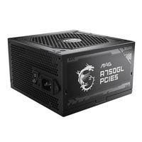 MSI MPG A750GF 750 Watt 80 Plus Gold ATX Fully Modular Power Supply - Micro  Center