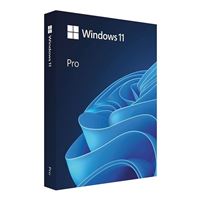 Microsoft Windows 11 Pro 64-Bit FPP USB - English