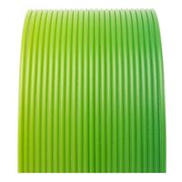 ProtoPlant 1.75mm HTPLA 3D Printer Filament Multicolor 0.5 kg (1.1 lbs.) Spooless - Kermie Green