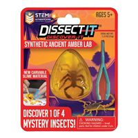  Discover-It Ancient Amber Lab
