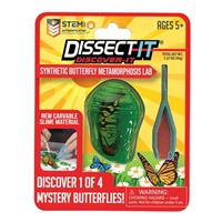  Discover-It Butterfly Metamorphosis Lab