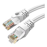 Inland CAT6 UTP 1' 2PK WH