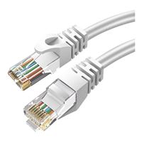 Inland CAT6 UTP 14' 2PK WH