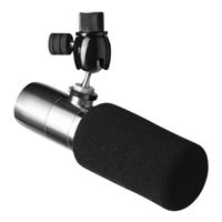  Earthworks ETHOS Broadcast XLR Condenser Microphone - Stainless Steel