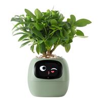  SMART PET PLANTER ROBOT