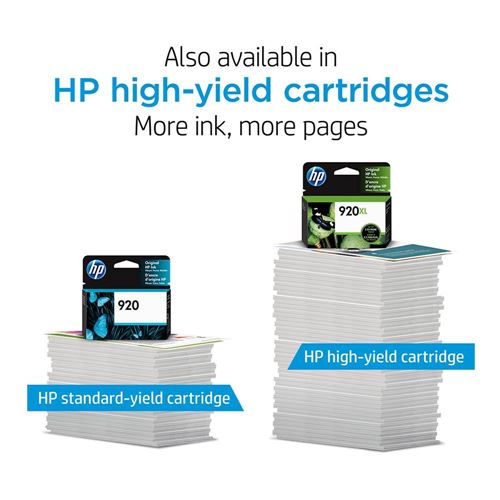 HP Heavyweight Project Paper