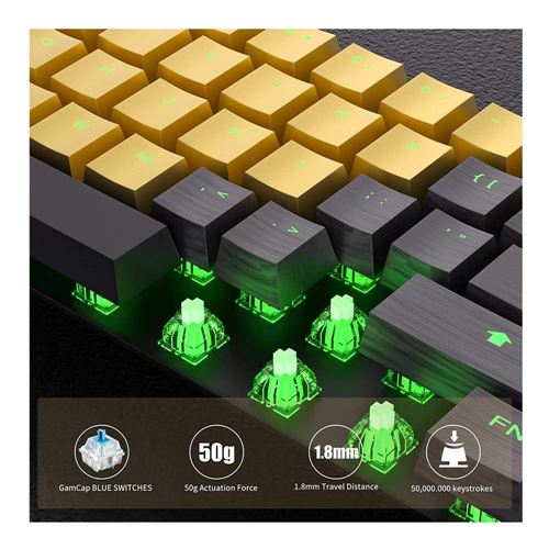 Hallsen Mechanical 60% Wireless Keyboard (Black and Gold); RGB