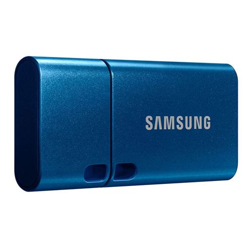 Cosmic Drikke sig fuld Forbandet Samsung 64GB Type-C SuperSpeed+ USB 3.2 (Gen 1) Flash Drive - Blue - Micro  Center