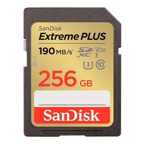 SanDisk announces 256 MB SD card: Digital Photography Review