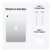 iPad10 シルバー　64G Apple 10.9 Inch iPad (10th Generation) with Wi Fi 64GB