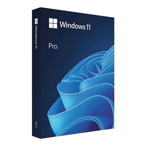 Microsoft Windows 11 Pro (USB)