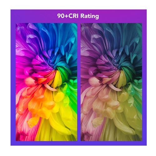 Product Image View 5