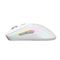 Product Image View 2