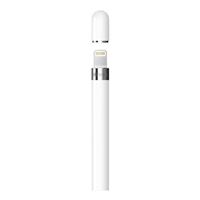 Apple Pencil with USB-C to Pencil Adapter (1st generation