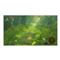 Product Image View 2